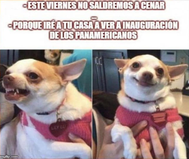 (Parody) We read “We won't be going out to dinner on Friday”, while we see the angry face of a Chihuahua. Then we read the rest of the sentence, that says “... Because I’m going to your place to see the Opening Ceremony of the Pan American Games”; with the same dog, but now with a happy face