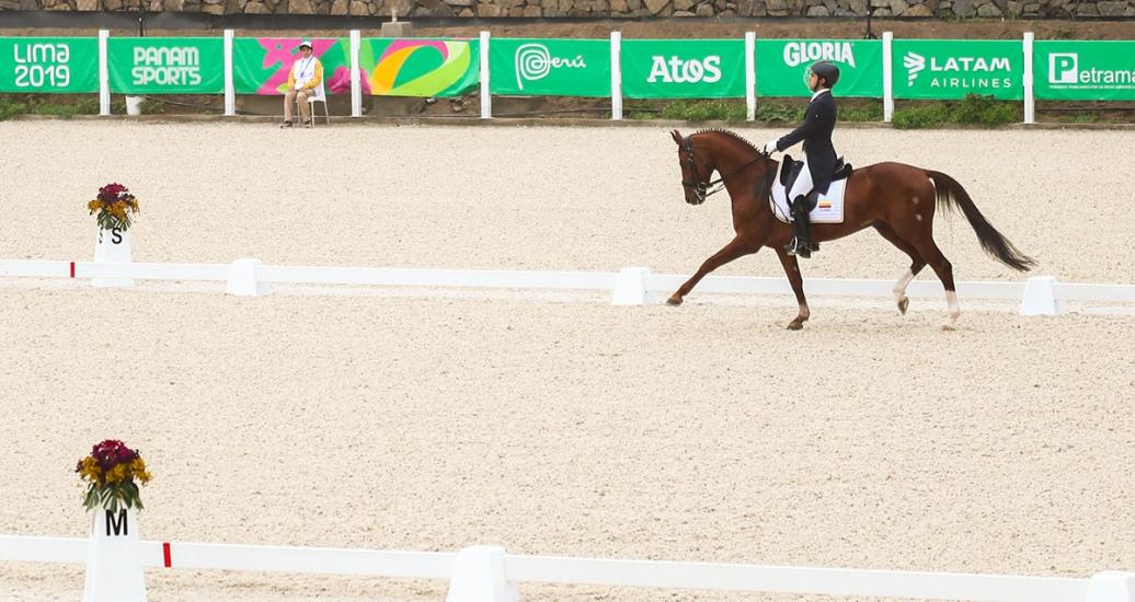 Presentación de jinete y caballo en competencia en Lima 2019