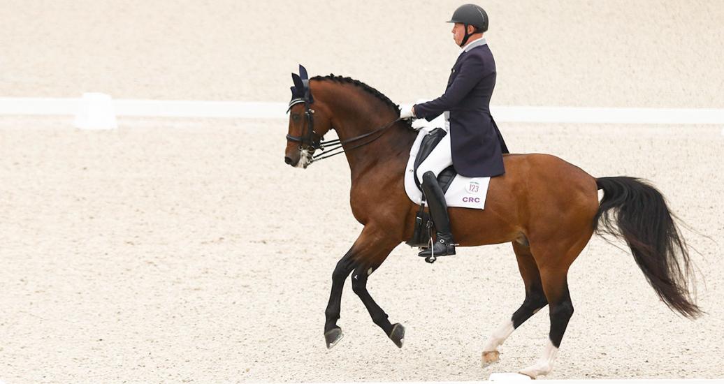 Costa Rica’s Christer Egerstron competes at dressage - individual in Lima 2019
